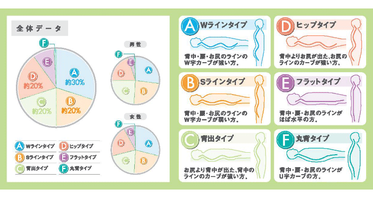 オーダーメイド枕 大阪 体型別分布図