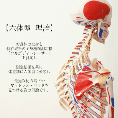 オーダーメイド枕の大阪 睡眠改善研究室 六体型 理論