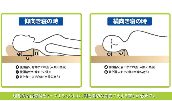 オーダーメイド枕　大阪　最適な枕の高さについて、睡眠改善研究室